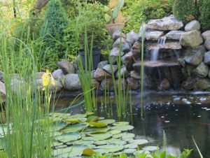 A green, luscious pond with a stone waterfall at the far end. 