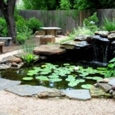A beautiful pond in your backyard