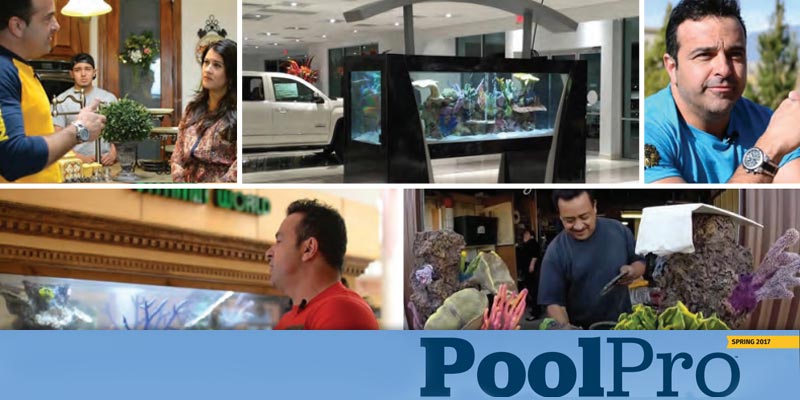 PoolPro Reality Marketing Pool construction