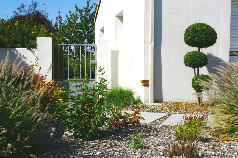 backyard plants