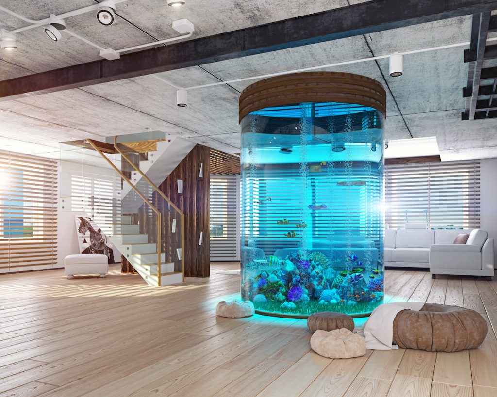 The Wonderful World of Custom Aquariums and How They Transform Any